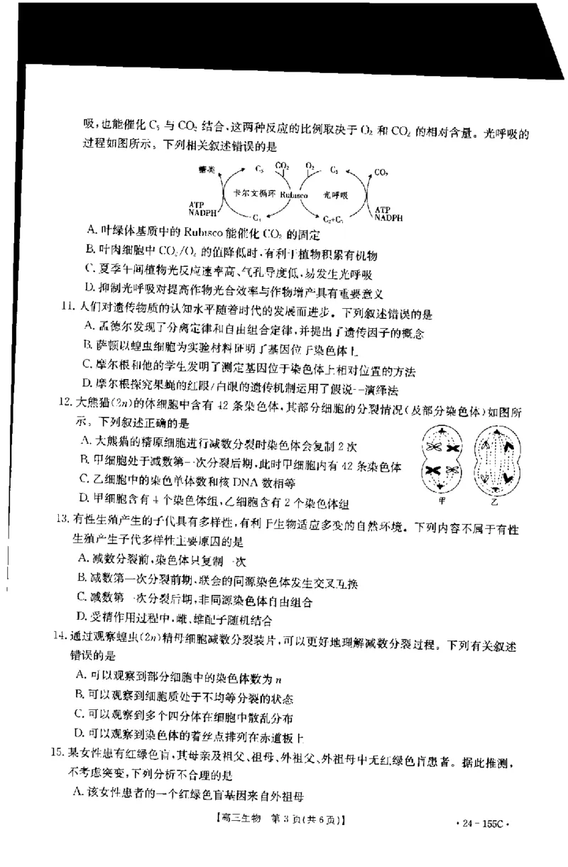 内蒙古区赤峰第四中学2024届高三上学期金太阳11月期中考试（24-155C）生物(1)_2023年11月_01每日更新_29号_2024届内蒙古区赤峰第四中学高三上学期金太阳11月期中考试（24-155C）