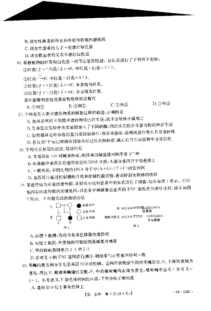 内蒙古区赤峰第四中学2024届高三上学期金太阳11月期中考试（24-155C）生物(1)_2023年11月_01每日更新_29号_2024届内蒙古区赤峰第四中学高三上学期金太阳11月期中考试（24-155C）