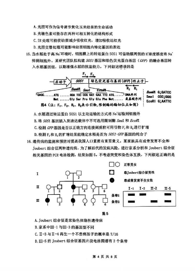 汕头二模生物试卷_2024年5月_01按日期_1号_2024届广东省汕头市高三第二次模拟考试_2024届广东省汕头市高三第二次模拟考试生物