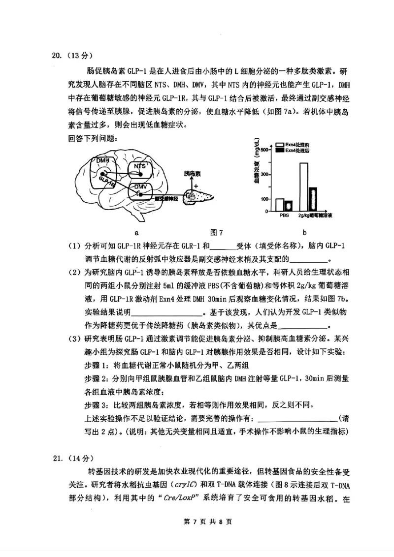 汕头二模生物试卷_2024年5月_01按日期_1号_2024届广东省汕头市高三第二次模拟考试_2024届广东省汕头市高三第二次模拟考试生物
