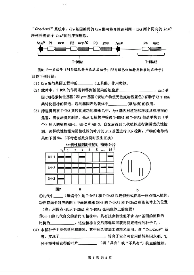 汕头二模生物试卷_2024年5月_01按日期_1号_2024届广东省汕头市高三第二次模拟考试_2024届广东省汕头市高三第二次模拟考试生物