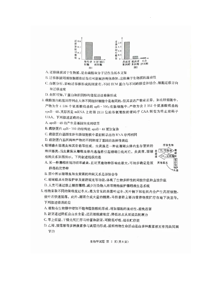 湖南省九校联盟2024届高三下学期第二次联考生物_2024年3月_02按日期_17号_2024届湖南省九校联盟高三下学期第二次联考