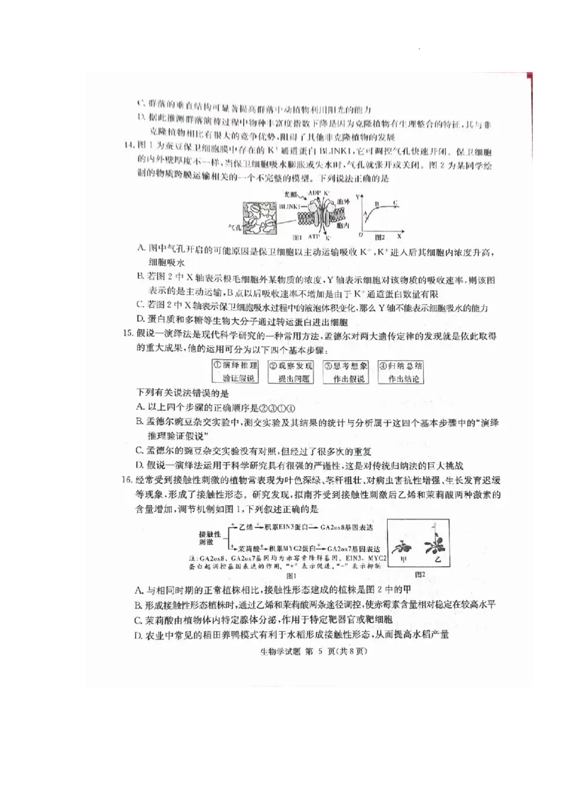 湖南省九校联盟2024届高三下学期第二次联考生物_2024年3月_02按日期_17号_2024届湖南省九校联盟高三下学期第二次联考