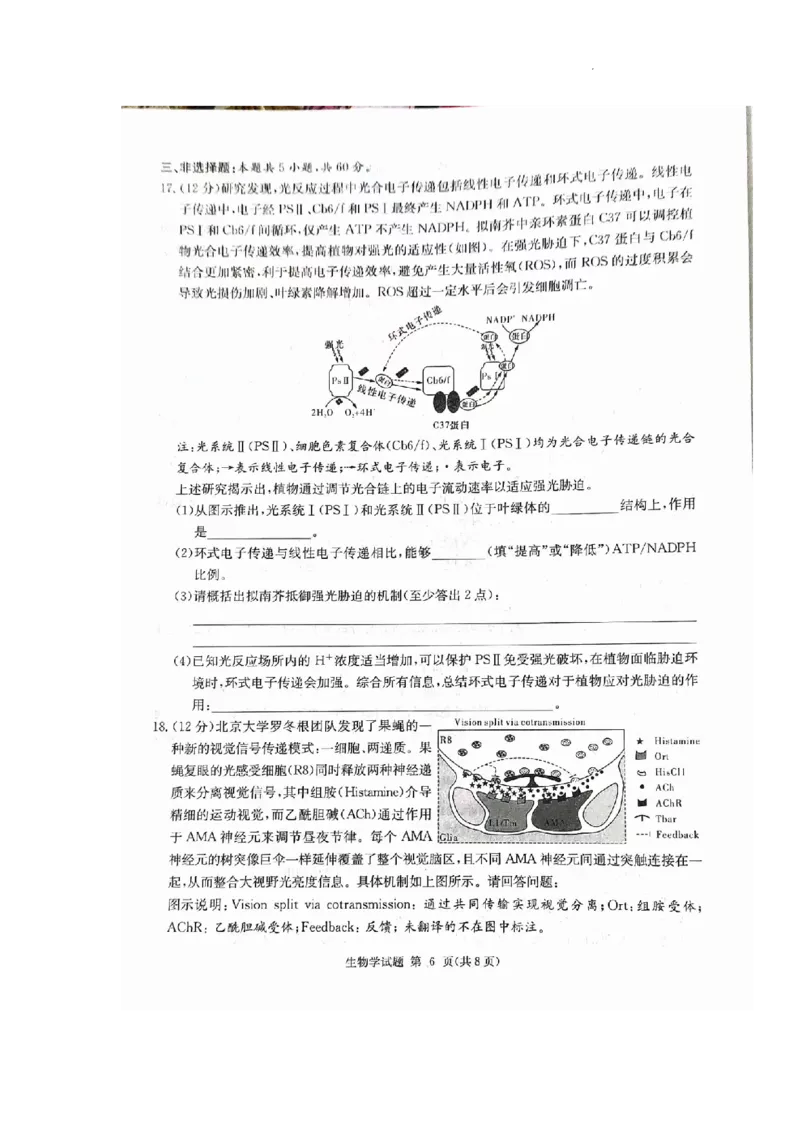 湖南省九校联盟2024届高三下学期第二次联考生物_2024年3月_02按日期_17号_2024届湖南省九校联盟高三下学期第二次联考