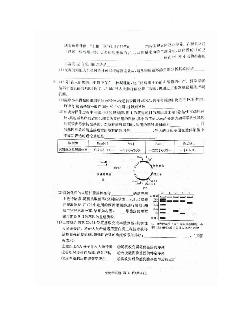 湖南省九校联盟2024届高三下学期第二次联考生物_2024年3月_02按日期_17号_2024届湖南省九校联盟高三下学期第二次联考