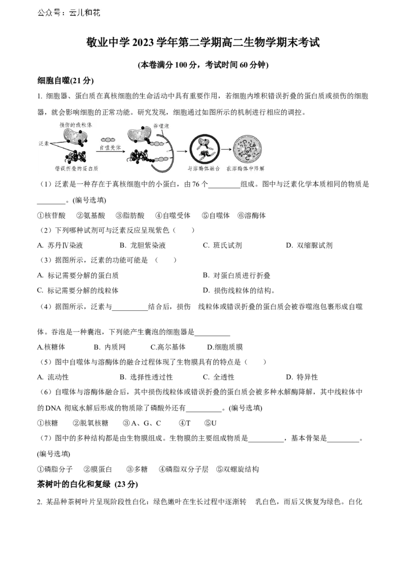 上海市黄浦区敬业中学2023-2024学年高二下学期6月期末生物试题（含答案）_2024-2025高二（7-7月题库）_2024年07月试卷_07022024上海市黄浦区敬业中学高二下学期6月期末