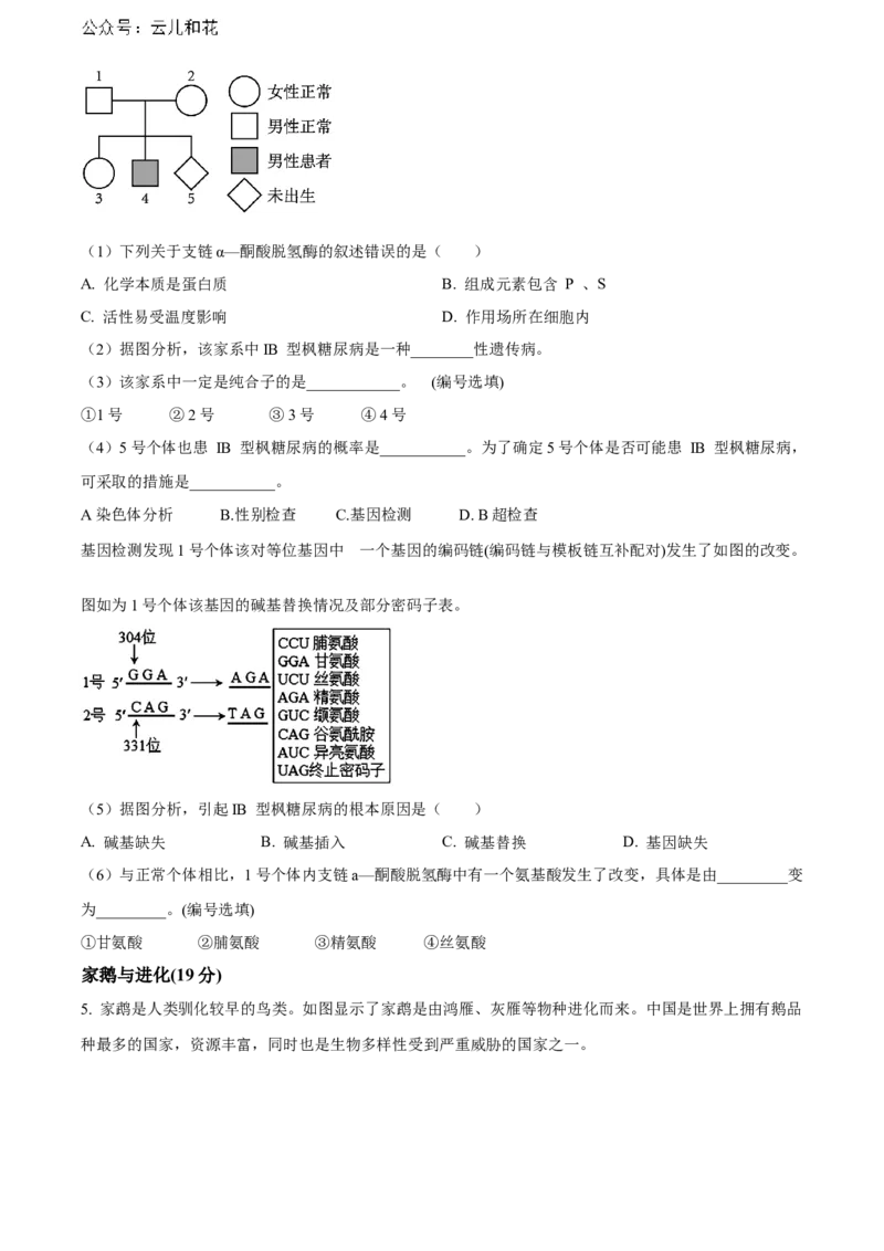 上海市黄浦区敬业中学2023-2024学年高二下学期6月期末生物试题（含答案）_2024-2025高二（7-7月题库）_2024年07月试卷_07022024上海市黄浦区敬业中学高二下学期6月期末