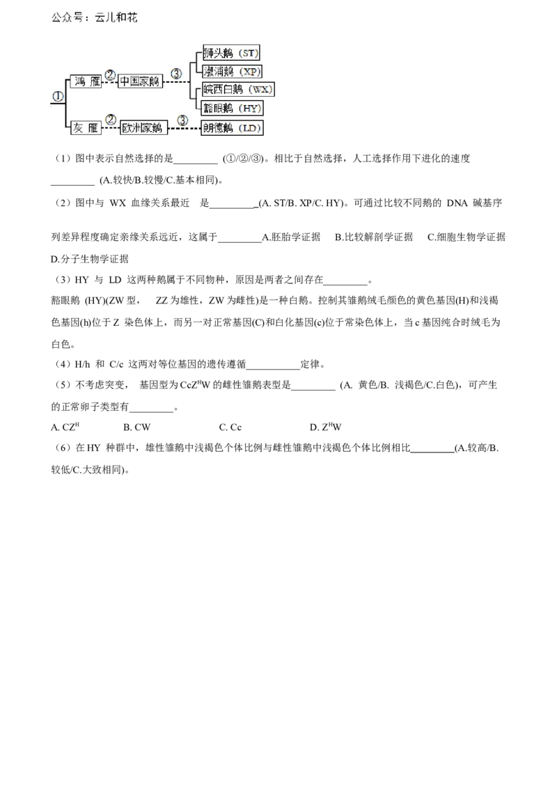 上海市黄浦区敬业中学2023-2024学年高二下学期6月期末生物试题（含答案）_2024-2025高二（7-7月题库）_2024年07月试卷_07022024上海市黄浦区敬业中学高二下学期6月期末