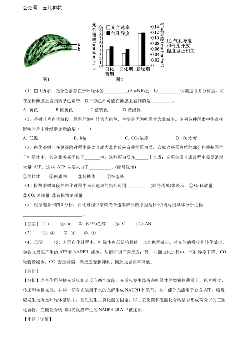 上海市黄浦区敬业中学2023-2024学年高二下学期6月期末生物试题（含答案）_2024-2025高二（7-7月题库）_2024年07月试卷_07022024上海市黄浦区敬业中学高二下学期6月期末