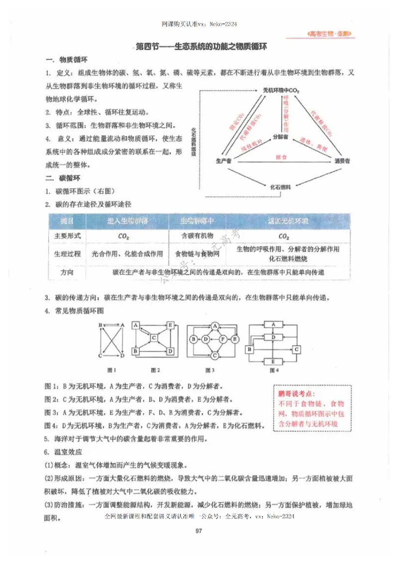 2024张鹏生物一轮复习讲义下_2024-2025高三（6-6月题库）_2024年09月试卷_张鹏