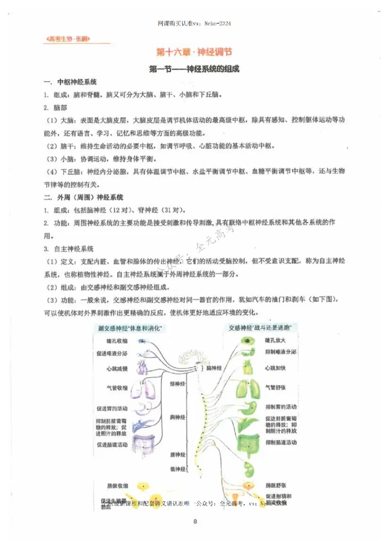 2024张鹏生物一轮复习讲义下_2024-2025高三（6-6月题库）_2024年09月试卷_张鹏