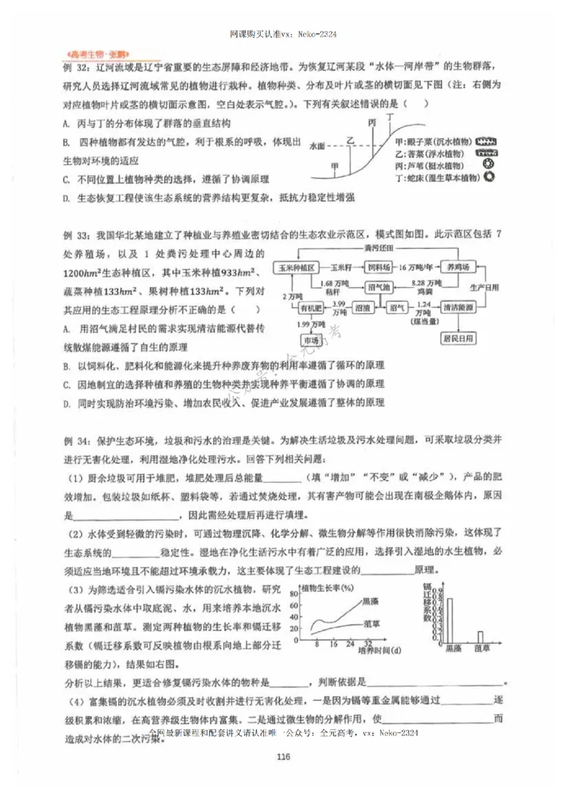 2024张鹏生物一轮复习讲义下_2024-2025高三（6-6月题库）_2024年09月试卷_张鹏