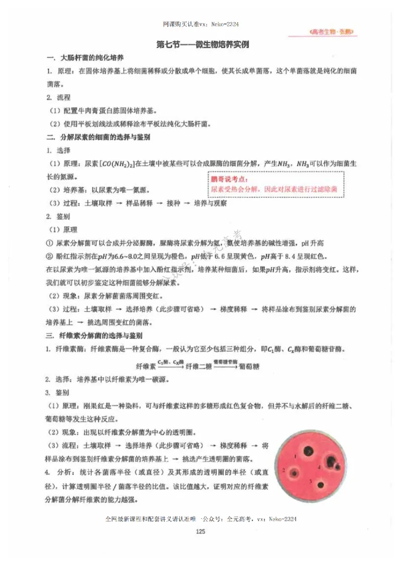 2024张鹏生物一轮复习讲义下_2024-2025高三（6-6月题库）_2024年09月试卷_张鹏