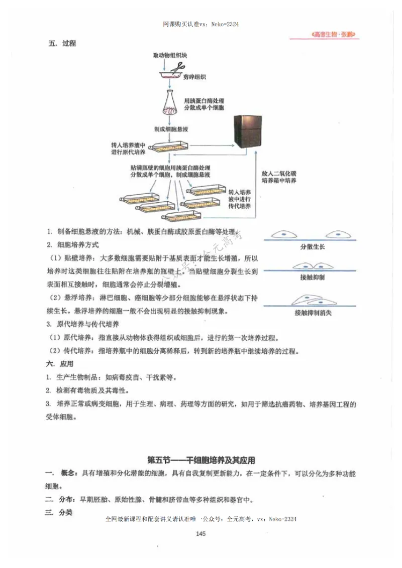 2024张鹏生物一轮复习讲义下_2024-2025高三（6-6月题库）_2024年09月试卷_张鹏