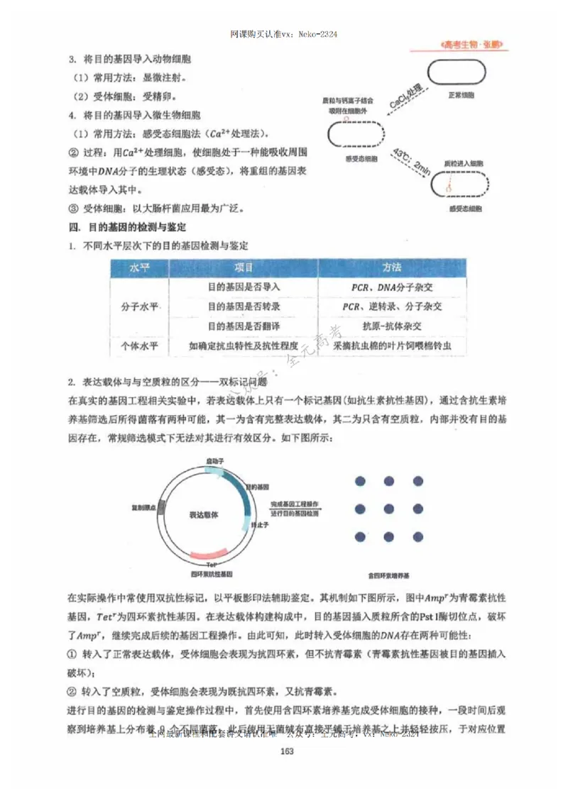 2024张鹏生物一轮复习讲义下_2024-2025高三（6-6月题库）_2024年09月试卷_张鹏