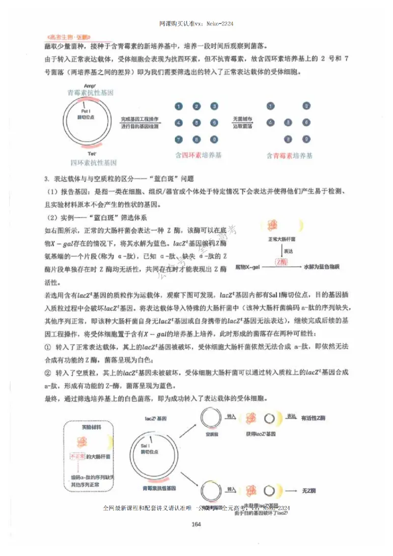 2024张鹏生物一轮复习讲义下_2024-2025高三（6-6月题库）_2024年09月试卷_张鹏