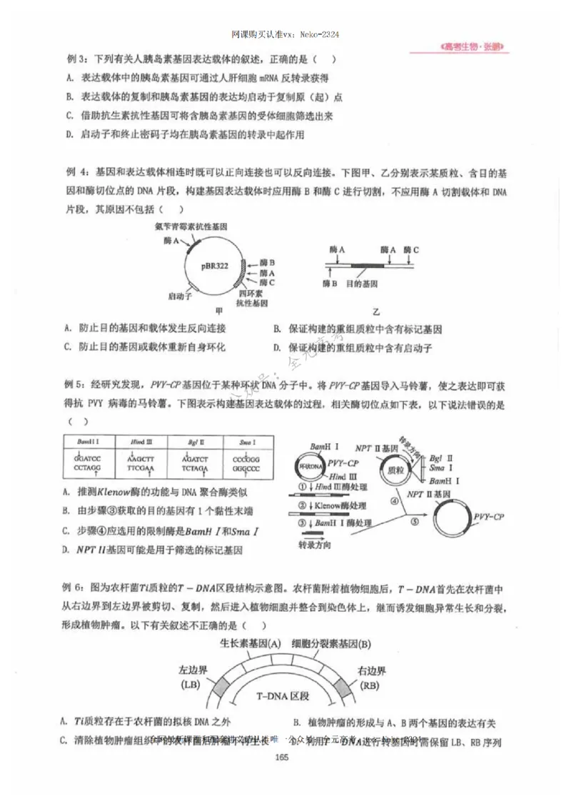 2024张鹏生物一轮复习讲义下_2024-2025高三（6-6月题库）_2024年09月试卷_张鹏
