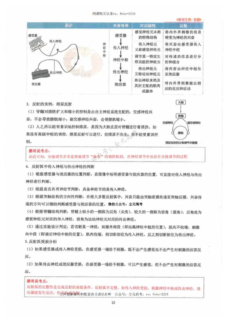 2024张鹏生物一轮复习讲义下_2024-2025高三（6-6月题库）_2024年09月试卷_张鹏