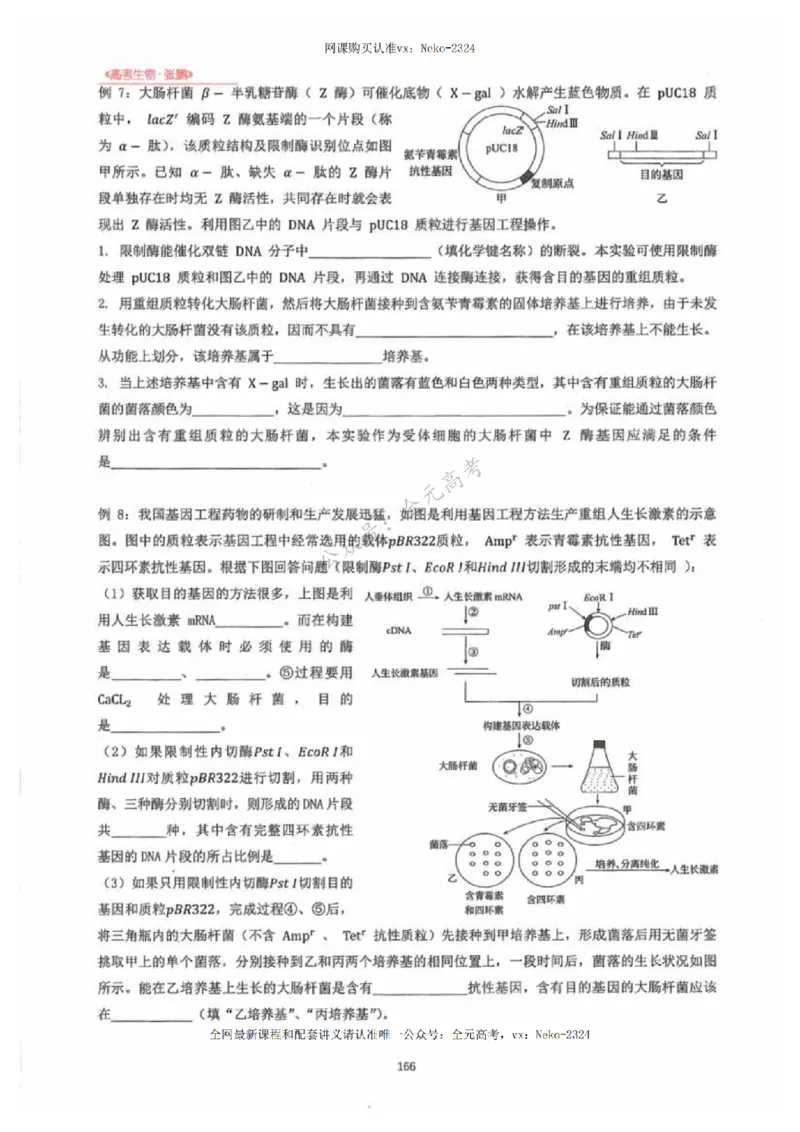 2024张鹏生物一轮复习讲义下_2024-2025高三（6-6月题库）_2024年09月试卷_张鹏