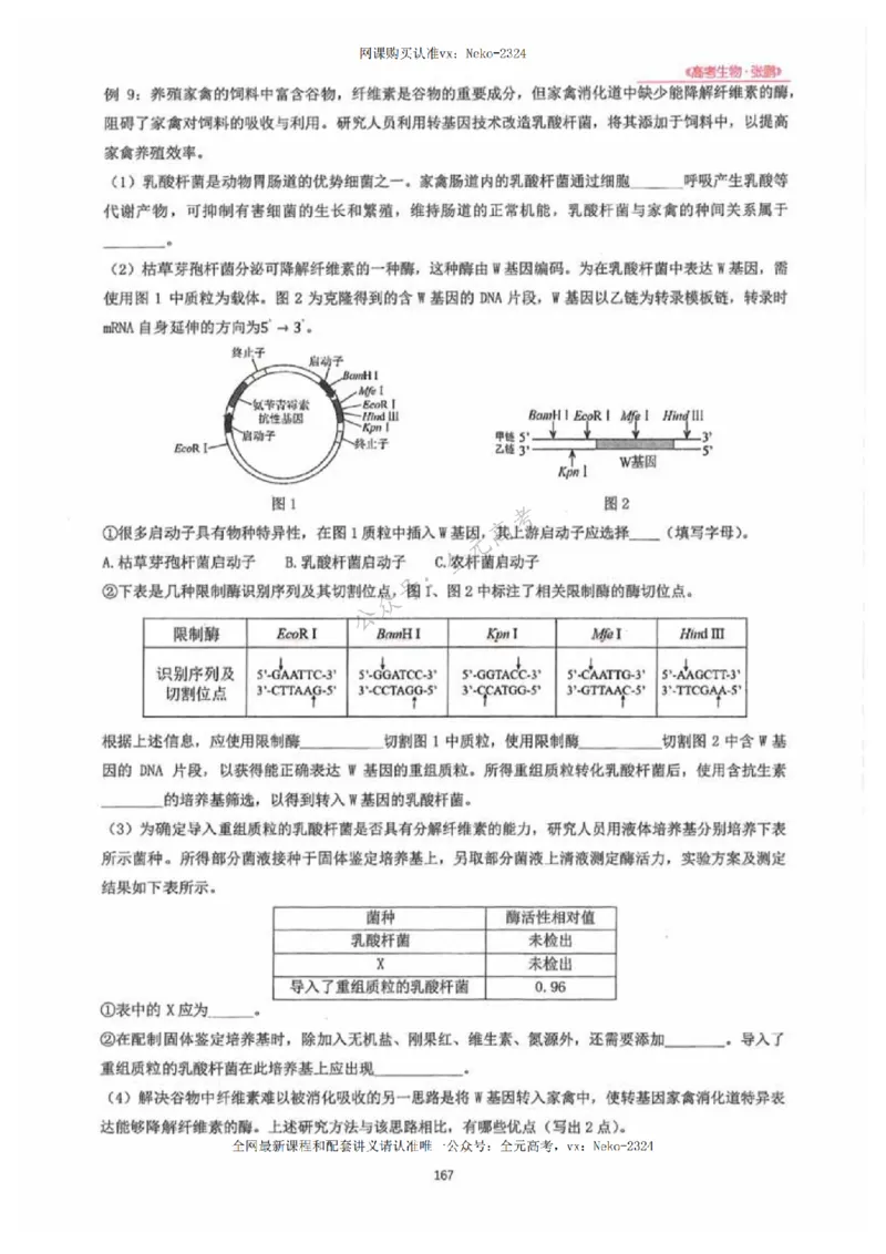 2024张鹏生物一轮复习讲义下_2024-2025高三（6-6月题库）_2024年09月试卷_张鹏