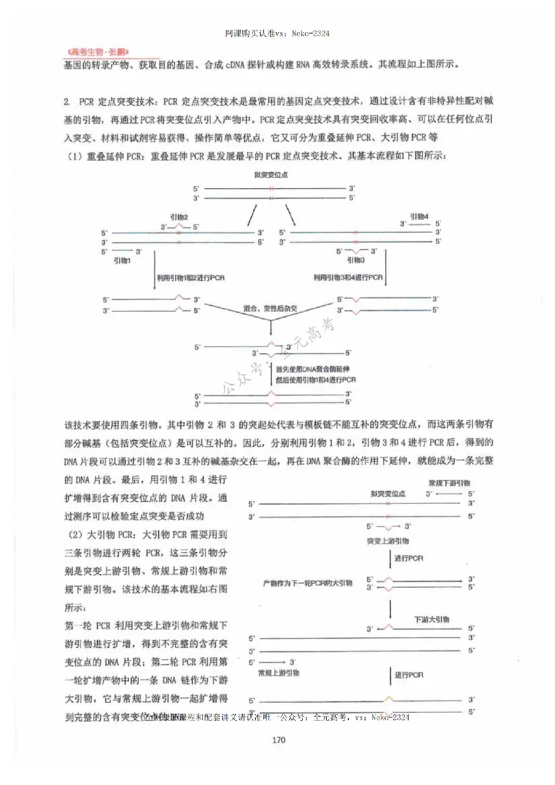 2024张鹏生物一轮复习讲义下_2024-2025高三（6-6月题库）_2024年09月试卷_张鹏