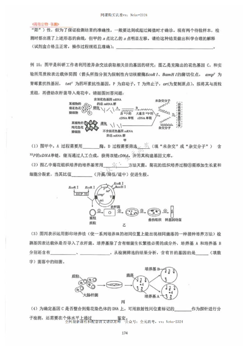 2024张鹏生物一轮复习讲义下_2024-2025高三（6-6月题库）_2024年09月试卷_张鹏