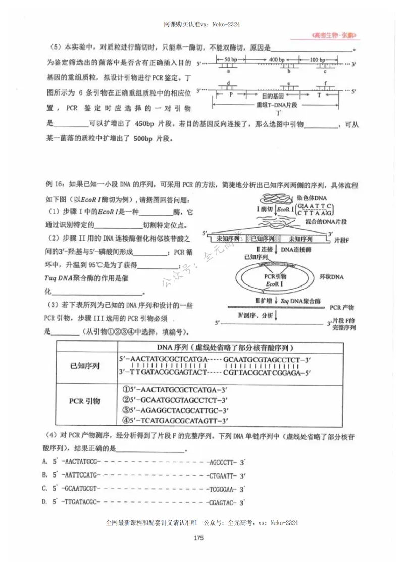 2024张鹏生物一轮复习讲义下_2024-2025高三（6-6月题库）_2024年09月试卷_张鹏