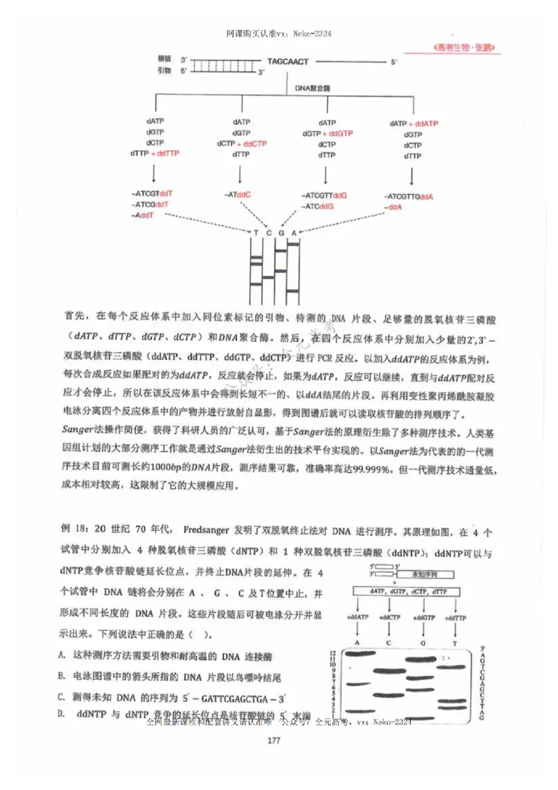 2024张鹏生物一轮复习讲义下_2024-2025高三（6-6月题库）_2024年09月试卷_张鹏