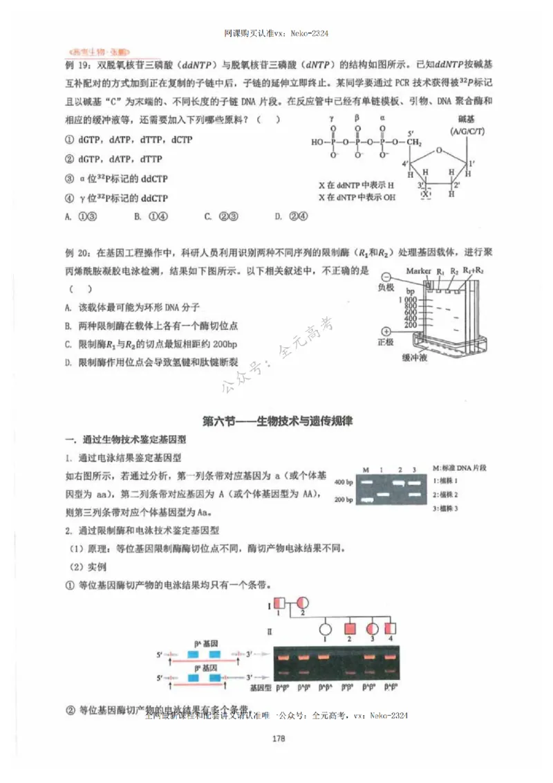 2024张鹏生物一轮复习讲义下_2024-2025高三（6-6月题库）_2024年09月试卷_张鹏