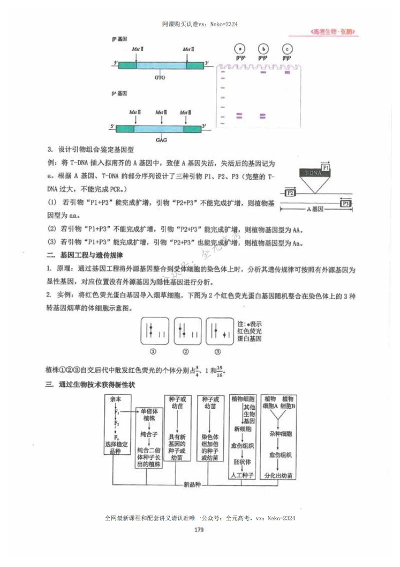 2024张鹏生物一轮复习讲义下_2024-2025高三（6-6月题库）_2024年09月试卷_张鹏