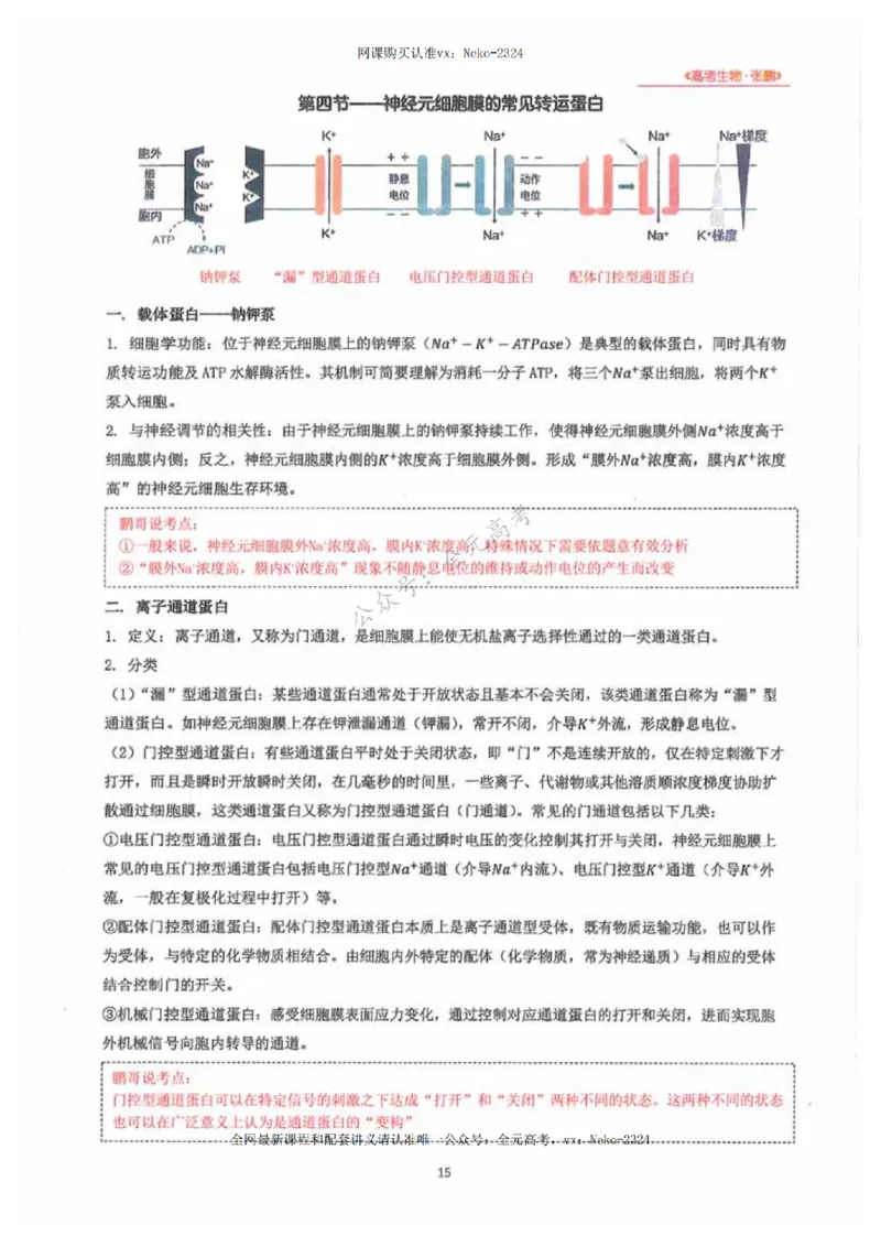 2024张鹏生物一轮复习讲义下_2024-2025高三（6-6月题库）_2024年09月试卷_张鹏