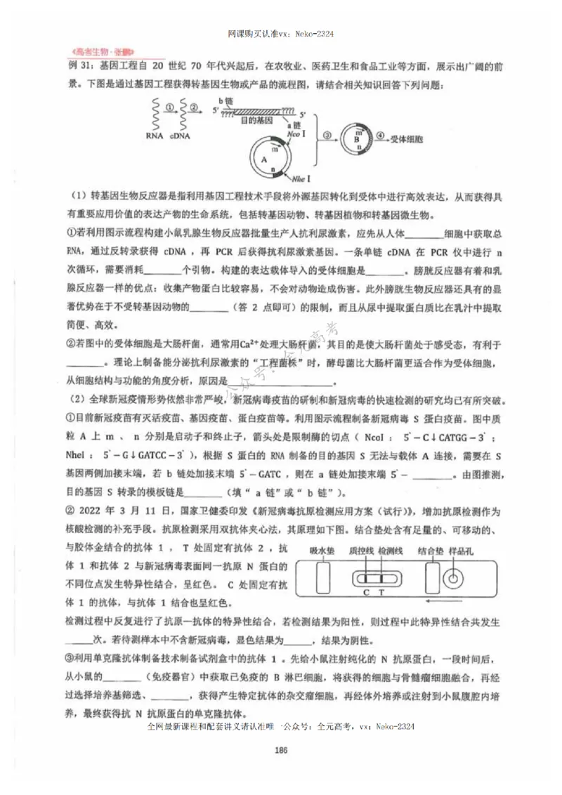 2024张鹏生物一轮复习讲义下_2024-2025高三（6-6月题库）_2024年09月试卷_张鹏