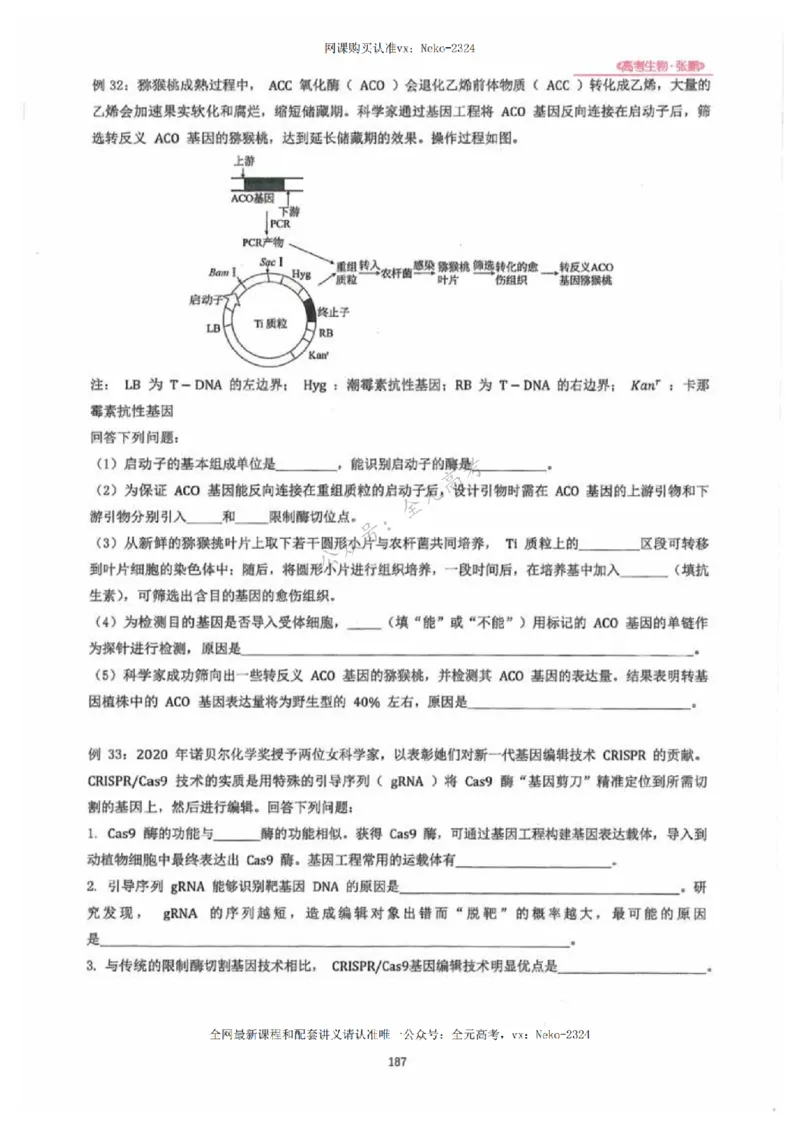 2024张鹏生物一轮复习讲义下_2024-2025高三（6-6月题库）_2024年09月试卷_张鹏