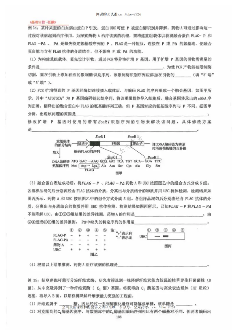 2024张鹏生物一轮复习讲义下_2024-2025高三（6-6月题库）_2024年09月试卷_张鹏