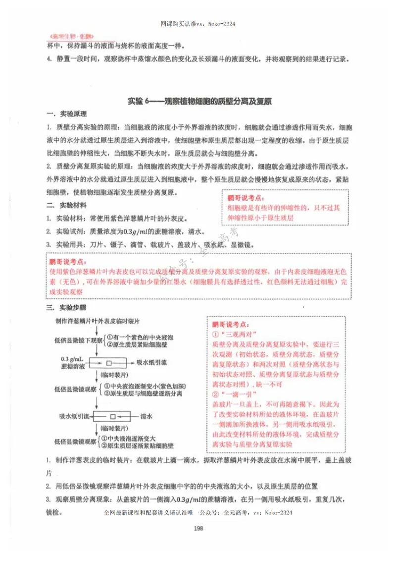 2024张鹏生物一轮复习讲义下_2024-2025高三（6-6月题库）_2024年09月试卷_张鹏