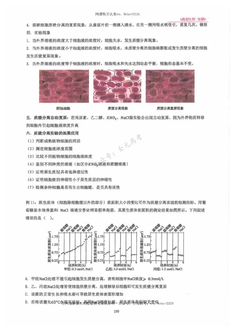 2024张鹏生物一轮复习讲义下_2024-2025高三（6-6月题库）_2024年09月试卷_张鹏