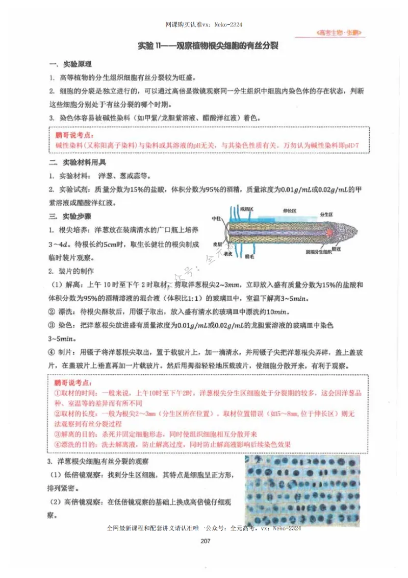 2024张鹏生物一轮复习讲义下_2024-2025高三（6-6月题库）_2024年09月试卷_张鹏