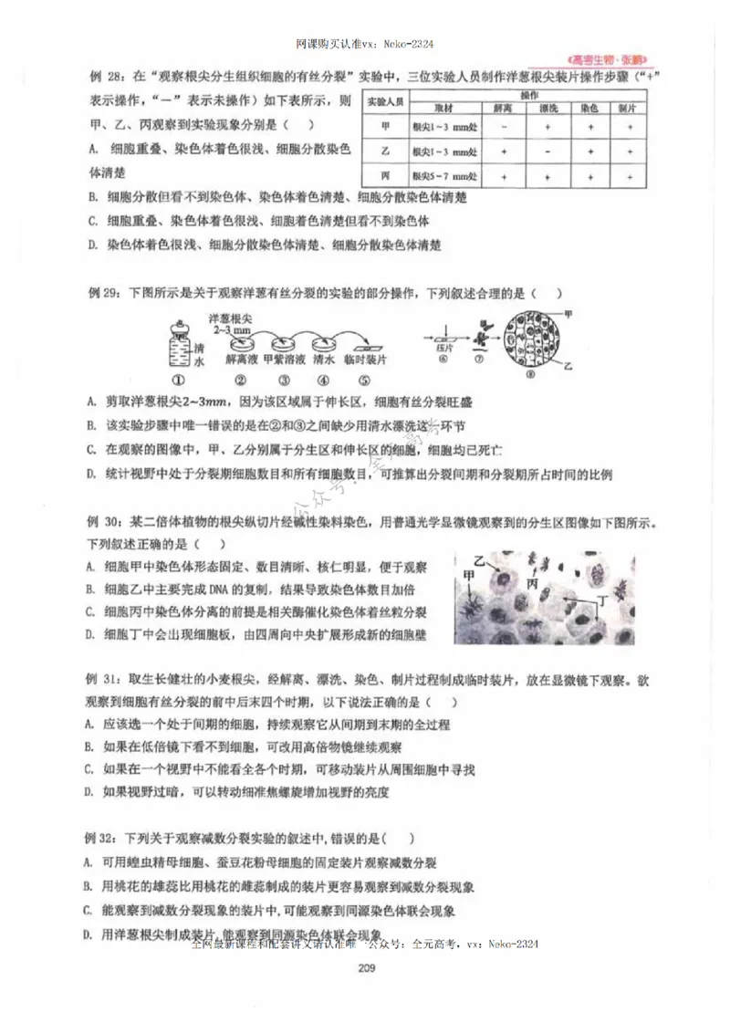 2024张鹏生物一轮复习讲义下_2024-2025高三（6-6月题库）_2024年09月试卷_张鹏