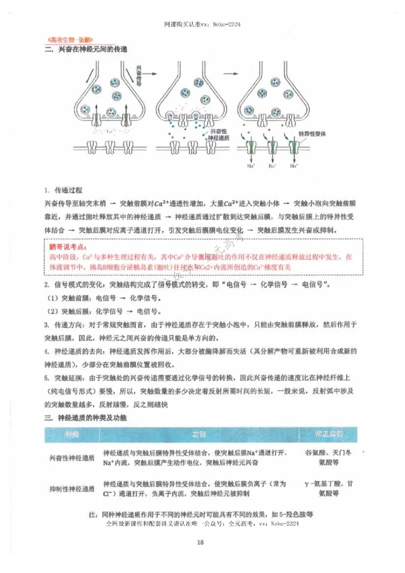 2024张鹏生物一轮复习讲义下_2024-2025高三（6-6月题库）_2024年09月试卷_张鹏