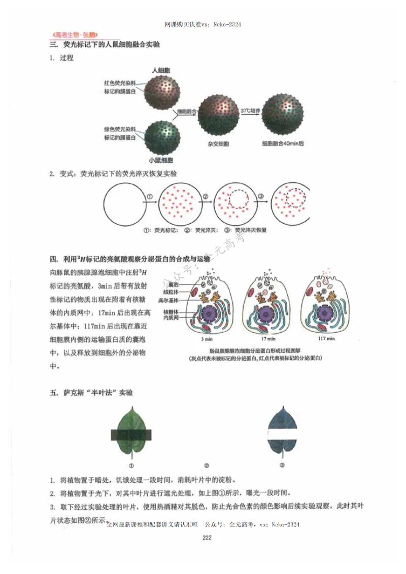 2024张鹏生物一轮复习讲义下_2024-2025高三（6-6月题库）_2024年09月试卷_张鹏