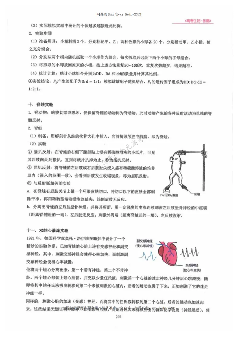 2024张鹏生物一轮复习讲义下_2024-2025高三（6-6月题库）_2024年09月试卷_张鹏