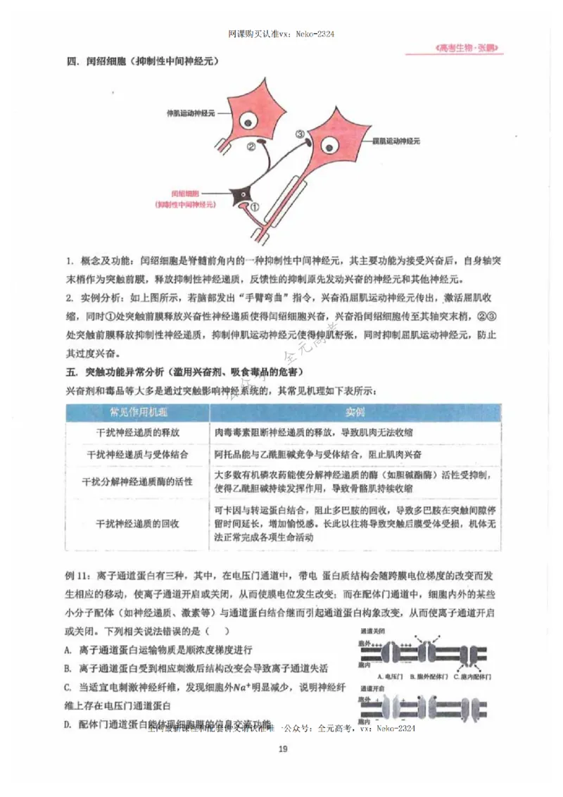 2024张鹏生物一轮复习讲义下_2024-2025高三（6-6月题库）_2024年09月试卷_张鹏