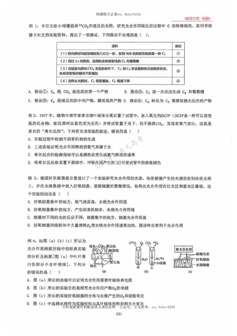 2024张鹏生物一轮复习讲义下_2024-2025高三（6-6月题库）_2024年09月试卷_张鹏