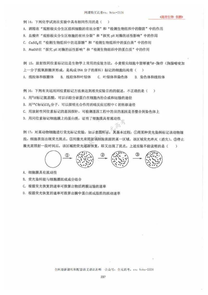 2024张鹏生物一轮复习讲义下_2024-2025高三（6-6月题库）_2024年09月试卷_张鹏