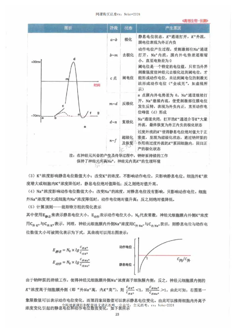 2024张鹏生物一轮复习讲义下_2024-2025高三（6-6月题库）_2024年09月试卷_张鹏