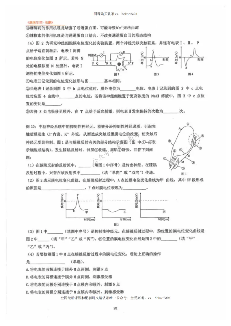2024张鹏生物一轮复习讲义下_2024-2025高三（6-6月题库）_2024年09月试卷_张鹏
