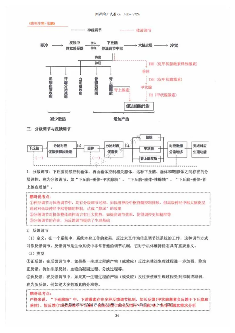 2024张鹏生物一轮复习讲义下_2024-2025高三（6-6月题库）_2024年09月试卷_张鹏