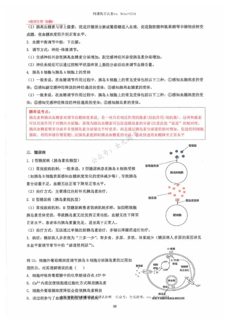 2024张鹏生物一轮复习讲义下_2024-2025高三（6-6月题库）_2024年09月试卷_张鹏