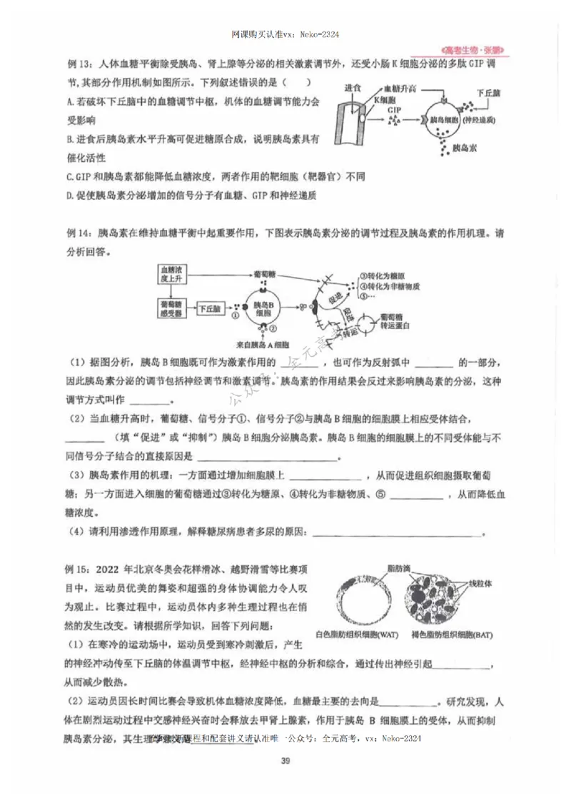2024张鹏生物一轮复习讲义下_2024-2025高三（6-6月题库）_2024年09月试卷_张鹏