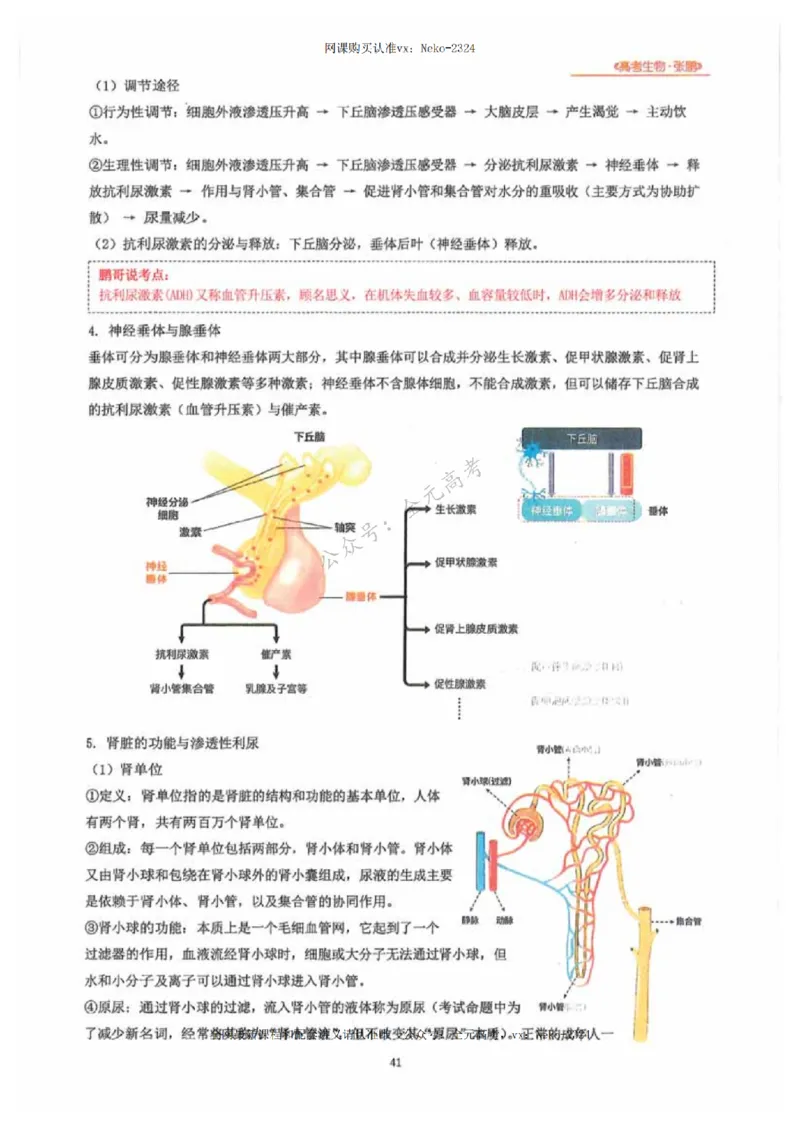 2024张鹏生物一轮复习讲义下_2024-2025高三（6-6月题库）_2024年09月试卷_张鹏
